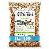 MeerBach & Rose Vers de Farine Séchés-1 kg=6500ml-Nourriture pour poissons, oiseaux Tortues, Hérissons, Rongeurs et Rep