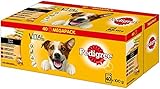 Pedigree Hundefutter Nassfutter Adult in Sauce, 40 Portionsbeutel (40 x 100g)