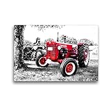 CALVENDO Premium Textil-Leinwand 45 x 30 cm Quer-Format MC Cormick, Leinwanddruck von Andrea Dreegmey