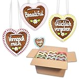 10 Stück Premium - Lebkuchenherz im Mischkarton - 10cm - versch. Flirt Sprüche | saftigte Lebkuchenherzen frisch gebacken | Kleine Lebkuchenherzen | Lebkuchen Herz bestellen von LEBKUCHEN WELT