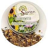 Blumenwiese / 10g Schmetterlingswiese Samen für eine bunte Blumenwiese/farbenfroh & nektarreiche Wildblumen Mischung für Schmetterlinge/Geschenk