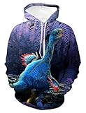 WBYFDC Sweatshirt Dinosaurier Hoodies Cooler Herbst 3D Printed Animal Pullover Movie World Herren Damen Rundhals Lose Top