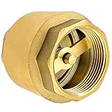 Premium 1 Zoll Rückschlagventil aus hochwertigem Messing robust, rostfrei und wasserdicht für Pumpe, Brunnen, Waschmaschine, Garten, Regentonne, F