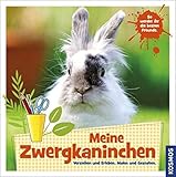 Meine Zwergkaninchen: So werdet ihr die besten F