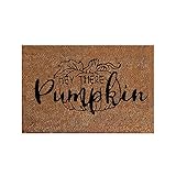 XinGxMei Halloween Fußmatte Decke Willkommen Zuhause Haustür Dekorationen Halloween Dekor Fußmatte Anti-Rutsch-Boden Indoor Outdoor Teppich rutschfeste waschbare Fußmatte (F)