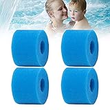 CYNEBR Typ S1 Filterkartuschenschwammfür Intex 29001E Pure Spa Whirlpool-Filter,Typ S1 Filter wiederverwendbar, waschbar, Filterschwamm, Schaumstoff-Box für Poolfilter (4)