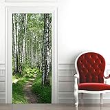 SFFLILY 3D Kreative Türaufkleber Waldbirkenlandschaft 95X215Cm Selbstklebend Art Decals Wandaufkleber Pvc Fototapete Wasserdichte Türtapete Poster Wohnzimmer Küche Schlafzimmer Dek