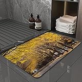 Badematte, rutschfest Waschbar Badezimmerteppich 40X60cm, Schöne Straße Gerade Straße in der Stadt mit gelbem GinkgoTrocknend und Schimmelresistent Badteppich für Badezimmer, Kü