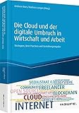 Die Cloud und der digitale Umbruch in Wirtschaft und Arbeit: Strategien, Best Practices und Gestaltungsimpulse (Haufe Fachbuch)