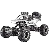 Lihgfw Schwarz Klettern High Speed ​​Alloy 2.4G RC Buggy, 4WD Mountain Cross-Country Mountain Altes RC Auto Spielzeug, 1/12 Geländewagen Ferngesteuertes Auto,Geburtstagsgeschenk Für 8 J