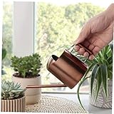 MICHAELA BLAKE Mini Gießkanne, Blumentopf Edelstahl Kleiner Topf mit Langen Auslauf für Kinder Kindergarten Bonsai Indoor Zimmerpflanze Gartenpflanzen Blumenvase Eimer (Bronze)
