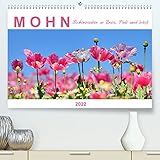 Mohn, Blütenzauber in Rosa, Pink und Weiß (Premium, hochwertiger DIN A2 Wandkalender 2022, Kunstdruck in Hochglanz)