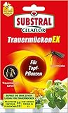 Substral Celaflor TrauermückenEX - Gegen Larven der Trauermücke und andere Schädlinge und Schadinsekten, 4 x 7,5