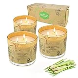 Yinuo Candle Citronella Kerze Outdoor,Citronella Kerze,Zitronell Kerze,255-300Std Brenndauer,Geeignet für Küche/Garten/Balkon/Grill/Picknic,3er Set*750g