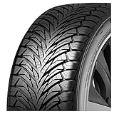 Austone 205/55 R16 91H SP 401 PKW Ganzj