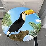 Morbuy Rund Tischdecke Elastisch, 3D Tukan Drucken Rund Tischdecken Wasserdicht Abwaschbar Abwischbar Tischtuch für Dekoration Küchentisch Garten Outdoor (Blauer Himmel,Durchmesser 180cm)