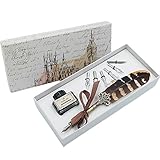 Federkiel Pen Set Dip Pen mit Tinte und 6 Edelstahl Schreibfedern Kalligraphie Kugelschreiber in Geschenkbox