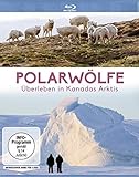 Polarwölfe - Überleben in Kanadas Arktis [Blu-ray]