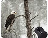 Mauspad mit Rastkante, Animal Flying Bald Eagle Themes Office-Mausp