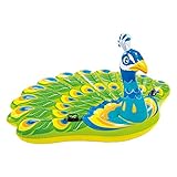 VEDES Großhandel GmbH - Ware 77000780 Island Peacock Sportspielzeug, 193 x 163 x 94 cm, Mehrfarbig