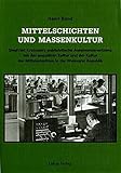 Mittelschichten und Massenkultur. Siegfried Kracauers publizistische Auseinandersetzung mit der poulären Kultur und der Kultur der Mittelschichten in der Weimarer Republik