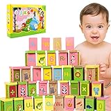 TOPJIN Premium Holzbausteine Set 100 Stück für Kleinkinder Vorschulalter Früherziehung Spielzeug B