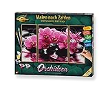 Schipper 609260603 Malen nach Zahlen, Orchideen - Bilder malen für Erwachsene, inklusive Pinsel und Acrylfarben, Triptychon, 50 x 80