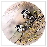 5D-Diamant-Malerei-Set für Erwachsene, Vögel, runde Form, vollständiges Bohren, Gemälde, Blumen, Stickerei, Bilder, Kreuzstich, Tier, Hotel, Wanddekoration (Leinwandgröße: 35 x 35 cm)