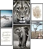 Papierschmiede® Mood-Poster Set Afrika | Bilder als Wanddeko | Wohnzimmer & Schlafzimmer | 2x DIN A4 und 4x DIN A5 | Safari Löwe Elefant Tiere Savanne - ohne R