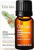 Gya Labs Bio ätherisches Atlas-Zedernholzöl - Fördern Sie das Haarwachstum und beruhigen Sie empfindliche Haut - 100 reine therapeutische Qualität für Aromatherapie und topische Anwendung - 10
