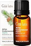 Gya Labs Bio ätherisches Atlas-Zedernholzöl - Fördern Sie das Haarwachstum und beruhigen Sie empfindliche Haut - 100 reine therapeutische Qualität für Aromatherapie und topische Anwendung - 10