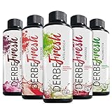 DERBE FRESH Sport Getränkekonzentrat - Probierset 3 - 5 Sorten - 250 ml (Zuckerfreier Getränkesirup, Vital Drink, Sodastream Sirup Mineraldrink 1:80)