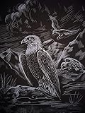 WASO Hobby - 4er Scrapy Kratzbilder Set - div. Vogelmotive/Silber *Groß*