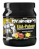 Dyanabol EAA 500g Dose Powder Pulver Aminosäuren Pulver Geschmack Muskelaufbau (Pfirsich Eistee)