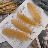 XUFXEUT 15-20 cm Hartstab Gänsefedern Natürliche Schwan Pluma Bastelzubehör Bunte Traumfänger Federdekoration-Hellbraun,200Stk