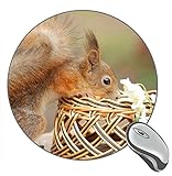 Eichhörnchen Neugier Runde Mauspad, Gaming Mauspads C