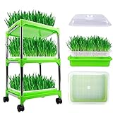 Keimschalen FüR Sprossen Seed Sprouter Tray Bpa-Freies Pp Soilless -Gesundes Weizengras Sojabohnen-Mung Soilless Nursery Pot SprießEn ZüChter Mit Deckel, FüR Garten/Zuhause (3 Stück + Regal)