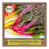 BIO Mangold Samen Bright Lights (Beta vulgaris) Blattmangold Gemü