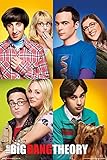 The Big Bang Theory - Mosaik - Poster Kino Movie TV-Serie - Größe 61x91,5 cm + Wechselrahmen, Shinsuke® Maxi Aluminium Silber, Acryl-Scheib