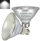 E27 PAR38 LED Kaltweiss 6000K,Wasserdicht,2er Pack, für Innen- und Außenbereich,15W,Nicht Dimmbar,Strahler Licht,Flutlicht Glühbirne,Kaltweiß LED PAR38 Glas Reflektorlampe(Ersetzt 70W-120W Halogen)