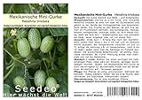 Seedeo® Mexikanische Mini-Gurke (Melothria trilobata) ca. 20 Samen BIO