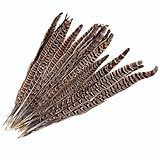 Surepromise 20 STK Fasanenfedern 25-30cm Fasan Feder Natur Echte Vogelfeder Schmuckfedern Hutfeder Hutschmuck