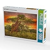 CALVENDO Puzzle Zwei Giraffen im Sonnenuntergang 1000 Teile Lege-Größe 64 x 48 cm Foto-Puzzle Bild von Heinz-Peter Schw