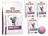 Renal Spezial Katzenfutter | Trockenfutter 400 g, Fisch 85 g, Huhn 85 g, Rindfleisch 85 g | 4 Stück mit gratis Spielzeugball Geschenk