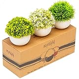 Kitzini Kunstblumen Indoor Mini Pflanzen Set – 3 Lebensechte, Grünweiße Kunstblumen im Topf, Künstliche Pflanzen – Tierfreundliche Plastik Pflanzen & Kunstpflanzen im Topf – Künstliche Blumen im Top