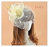 SIFDNRGNFN Tüll Weiß Schwarz Rot Elfenbein Birdcage Netto Hochzeit Braut Fascinator Schleier Feder Blume mit Haarnadeln für Braut (Color : Ivory)