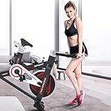 ZCYXQR Heimtrainer Liegeergometer Cardio-Trainingsdisplay Verstellbarer Lenker Sitzhöhe Fitnessrad Idealer Cardio-Trainer，B (Indoor-Sport)