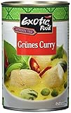 Exotic Food Grüne Currysauce Fix+Fertig (1 x 410 g Dose)
