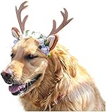 YOLI Hunde-/Katzenkostüm, Weihnachts-Stirnband, Rentiergeweih, Katze, Hund, Kopfbedeckung mit Blumen für große Hunde (L)