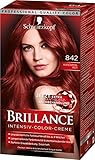 SCHWARZKOPF BRILLANCE Intensiv-Color-Creme 842 Kaschmirrot Stufe 3, mit extra Diamant-Glanz-Nachbehandlung, 3er Pack (3 x 143 ml)